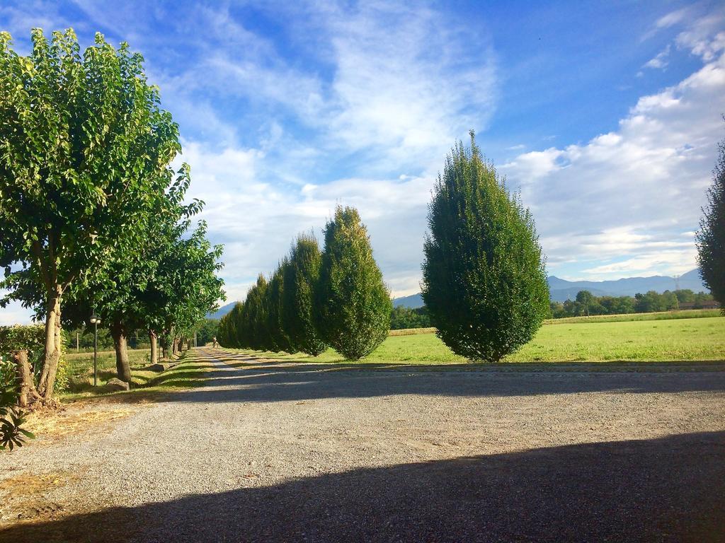 Agriturismo Ca Del Lupo Палаццоло-сулл'Ольо Экстерьер фото